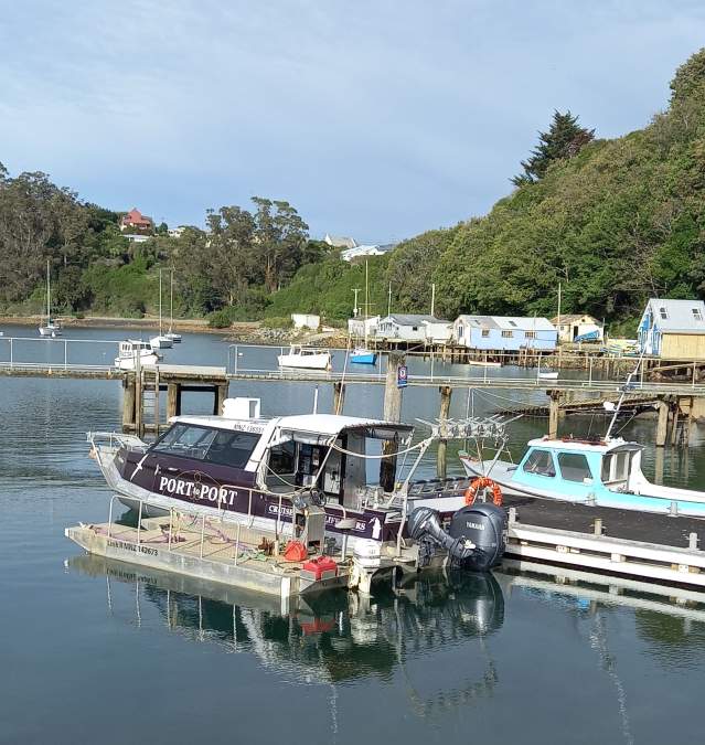 New Bike Barge For Cyclists On Otago Harbour Cycleway Otago Trail Hub