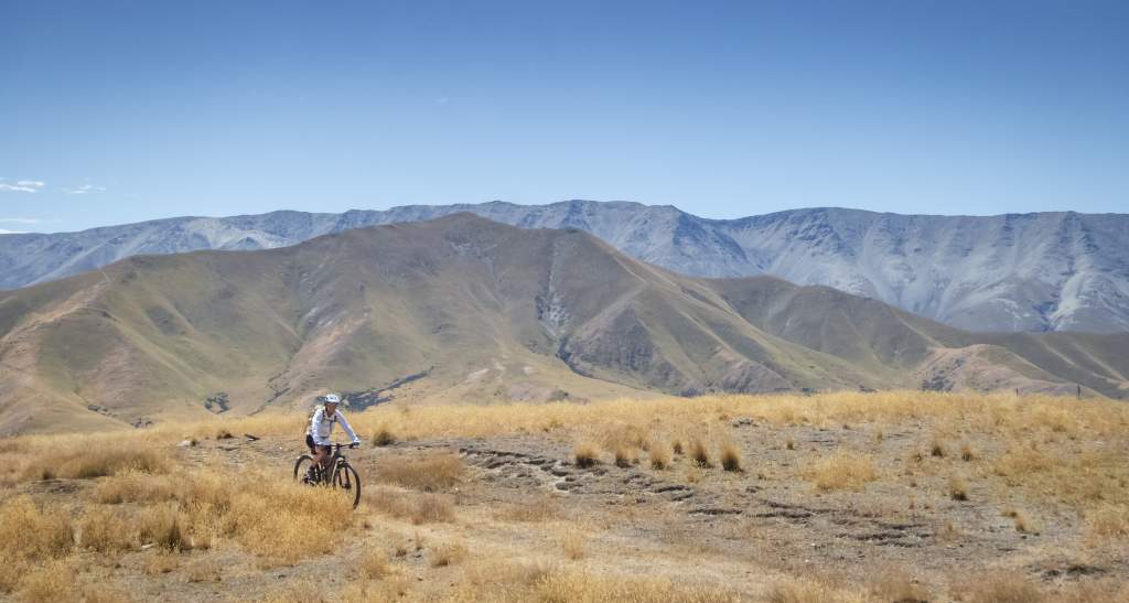 Cluden McPhees MTB credit Geoff Marks 206